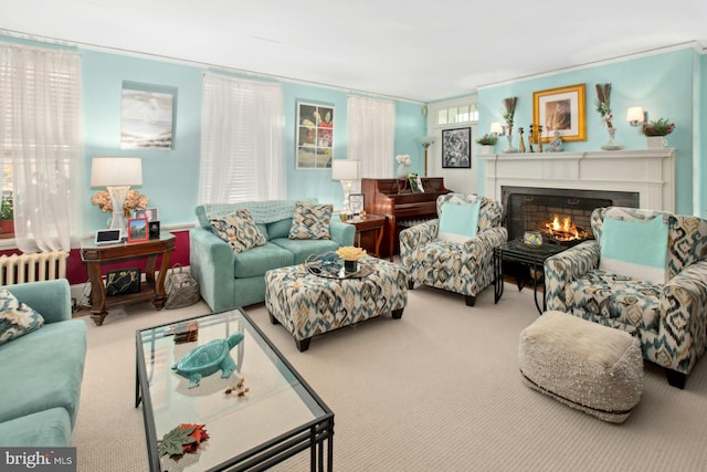 carpeted living room featuring ornamental molding and radiator heating unit