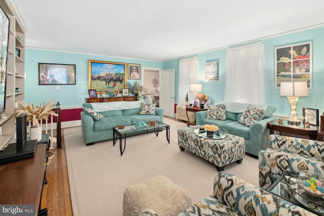 living room featuring ornamental molding