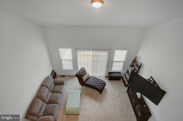 living area featuring carpet flooring