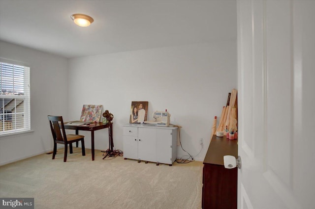 living area with light carpet