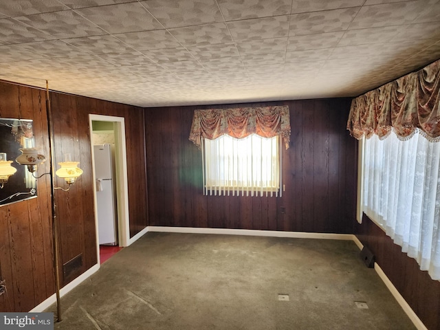 carpeted spare room featuring wooden walls