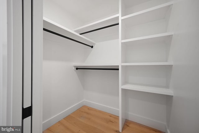 spacious closet featuring wood finished floors