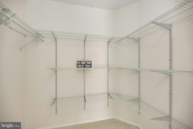 view of spacious closet