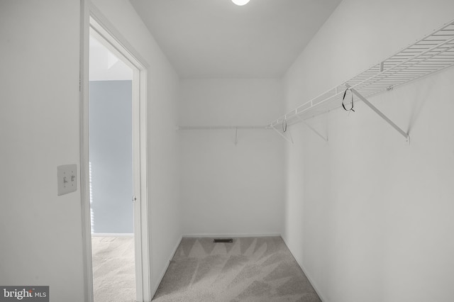 spacious closet featuring carpet floors