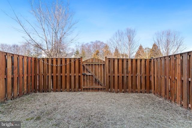 view of yard with fence and a gate