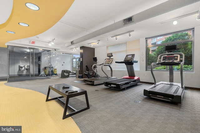 gym featuring carpet flooring and track lighting