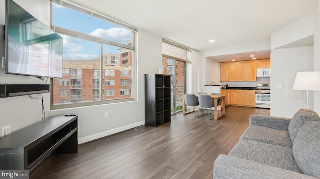 living room with dark hardwood / wood-style flooring