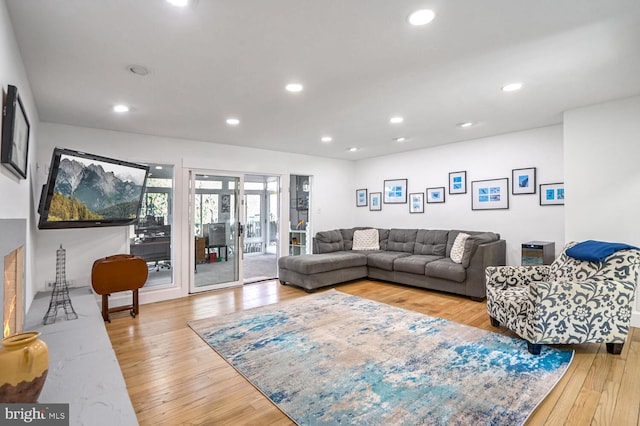 living room with light wood-type flooring