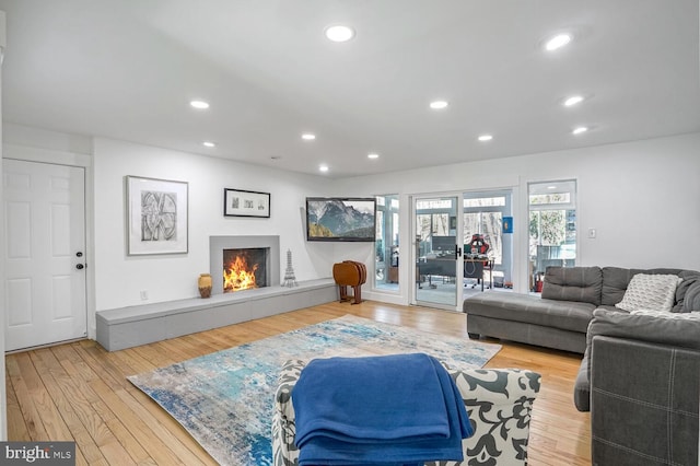 living room with a fireplace and light wood-type flooring