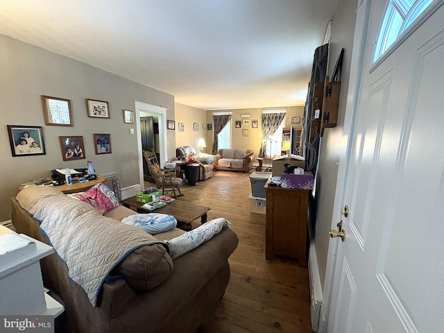 living room featuring wood-type flooring