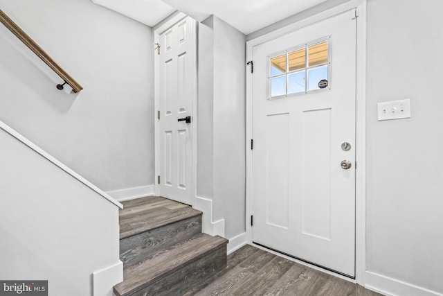 foyer entrance featuring dark wood-type flooring