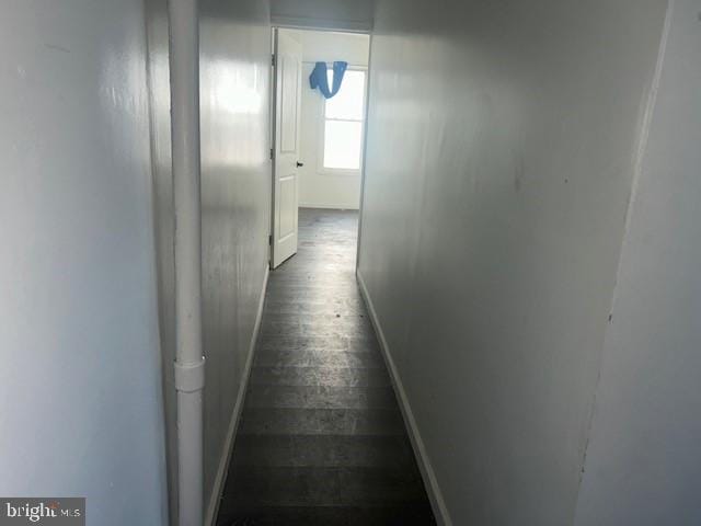 hallway featuring dark hardwood / wood-style flooring