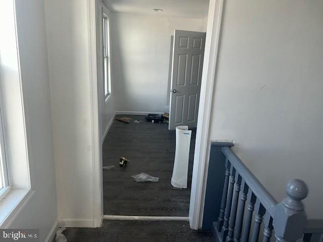 hall featuring dark hardwood / wood-style flooring and a healthy amount of sunlight