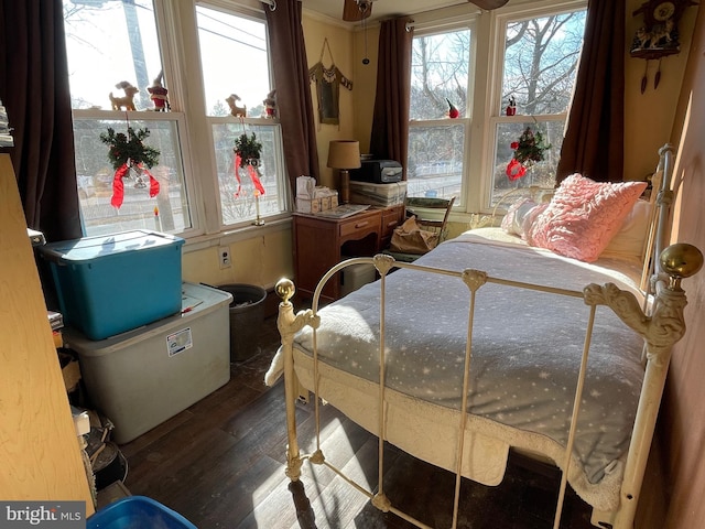 bedroom with dark hardwood / wood-style flooring