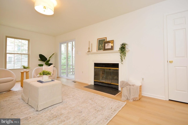 living room featuring wood-type flooring