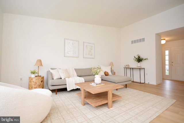 living room with light hardwood / wood-style flooring