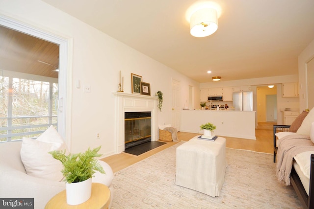 living room with light hardwood / wood-style floors