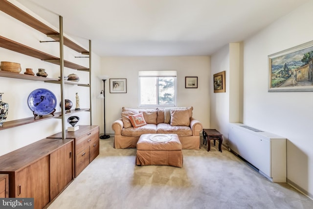 sitting room with light carpet