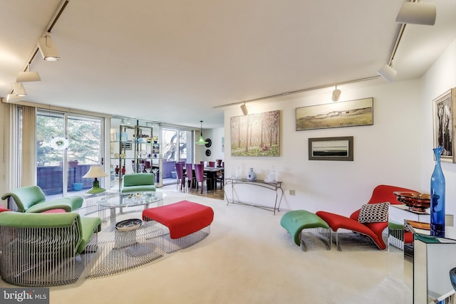 living room with carpet and track lighting