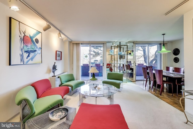 living room with parquet floors, track lighting, and a wealth of natural light