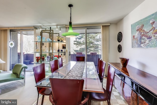 dining room with plenty of natural light