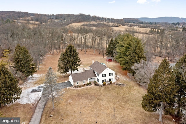 birds eye view of property with a mountain view