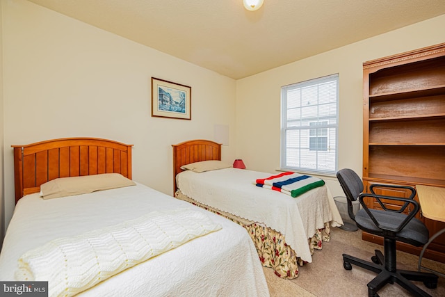 bedroom with carpet flooring