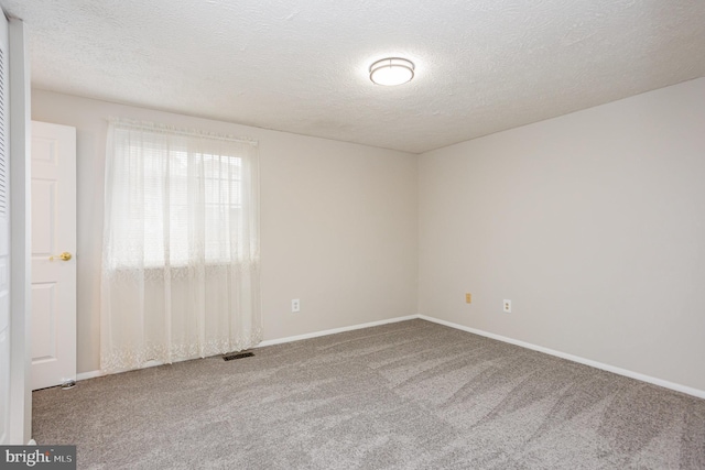 spare room with carpet flooring and a textured ceiling