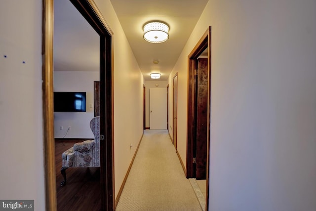 338 Blue Heron Rd, Dover, DE 19904 - corridor with light carpet