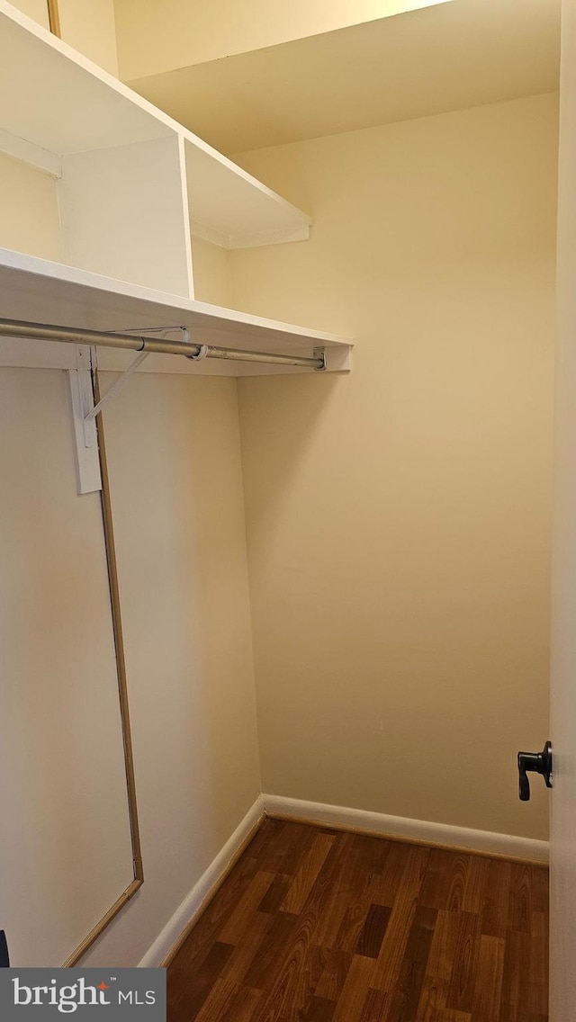 spacious closet with dark wood-style floors