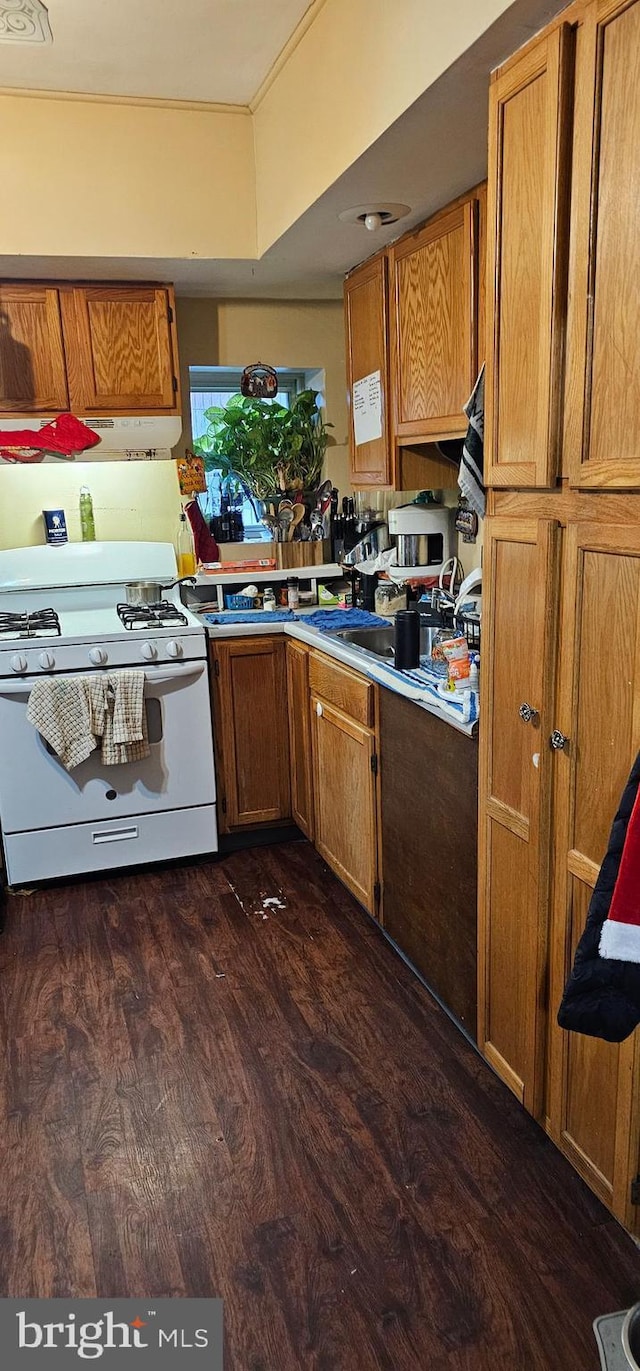 kitchen featuring dark wood-type flooring and white gas stove