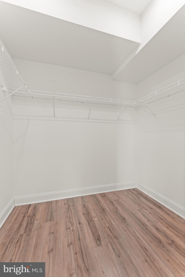 spacious closet with hardwood / wood-style floors