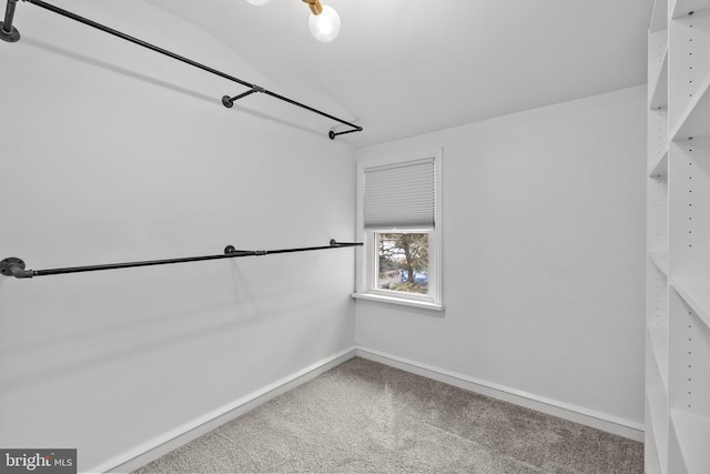 walk in closet featuring carpet and lofted ceiling