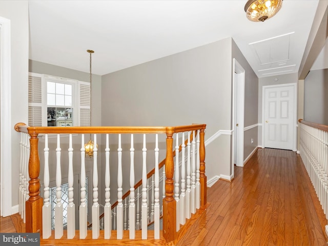 hall with hardwood / wood-style floors