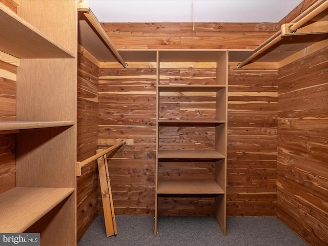 spacious closet with carpet