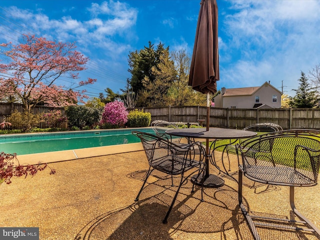 view of pool featuring a patio area