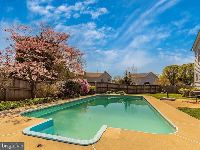 view of pool with a patio