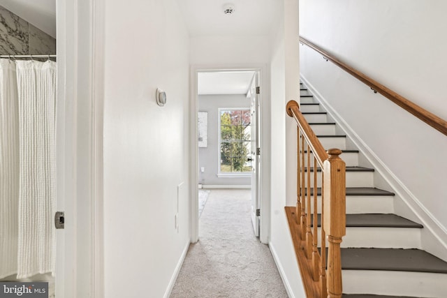 stairway with carpet flooring