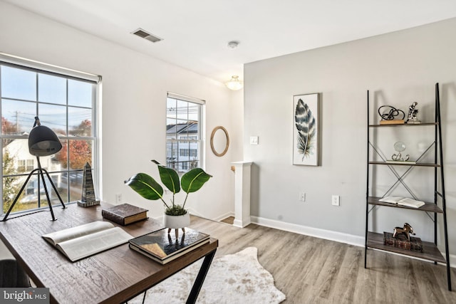 living room with wood-type flooring