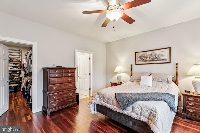 bedroom featuring dark wood-type flooring, ceiling fan, a spacious closet, and a closet