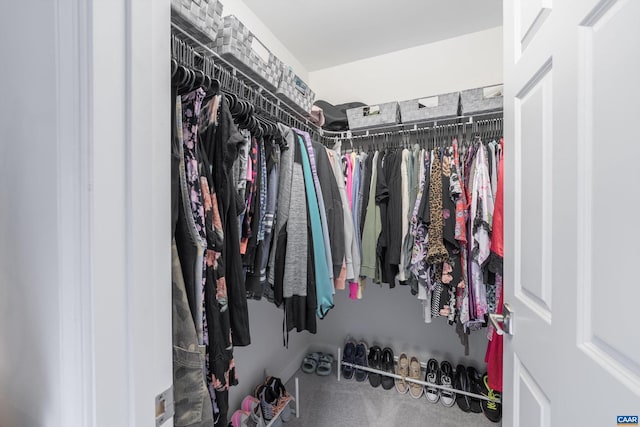 view of spacious closet