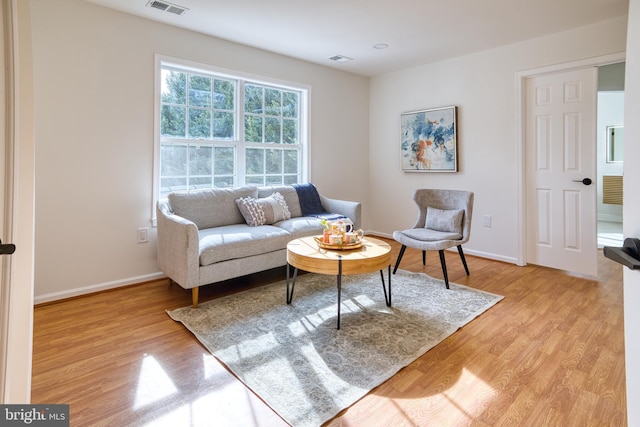 living room featuring light wood-type flooring