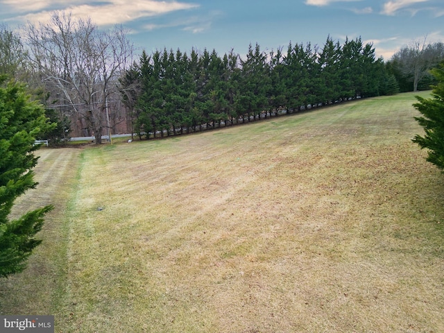 view of yard featuring a rural view