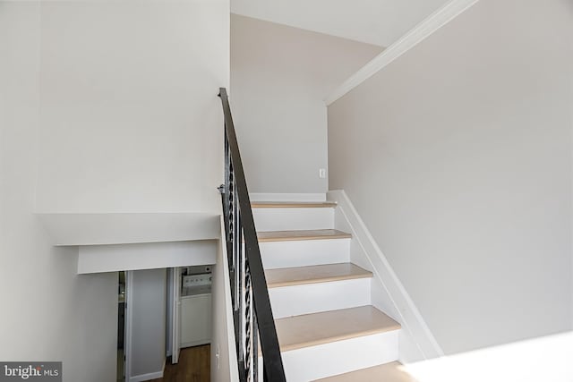 staircase with hardwood / wood-style flooring