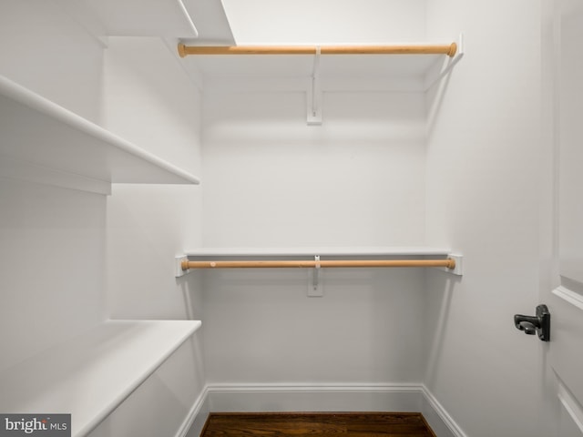 spacious closet featuring dark hardwood / wood-style floors