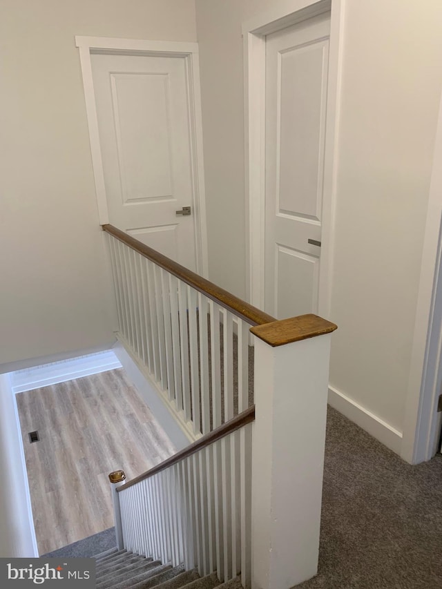 stairway with carpet floors