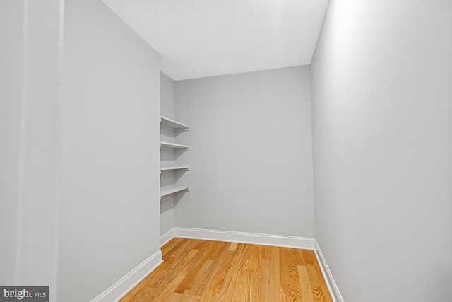 walk in closet featuring hardwood / wood-style flooring