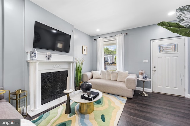 living room featuring dark wood-type flooring