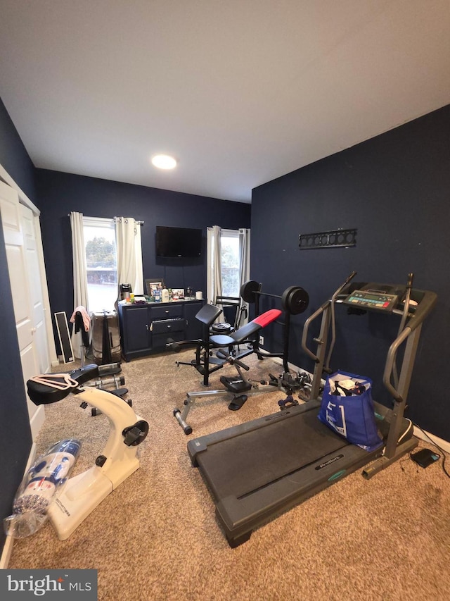 workout room with carpet