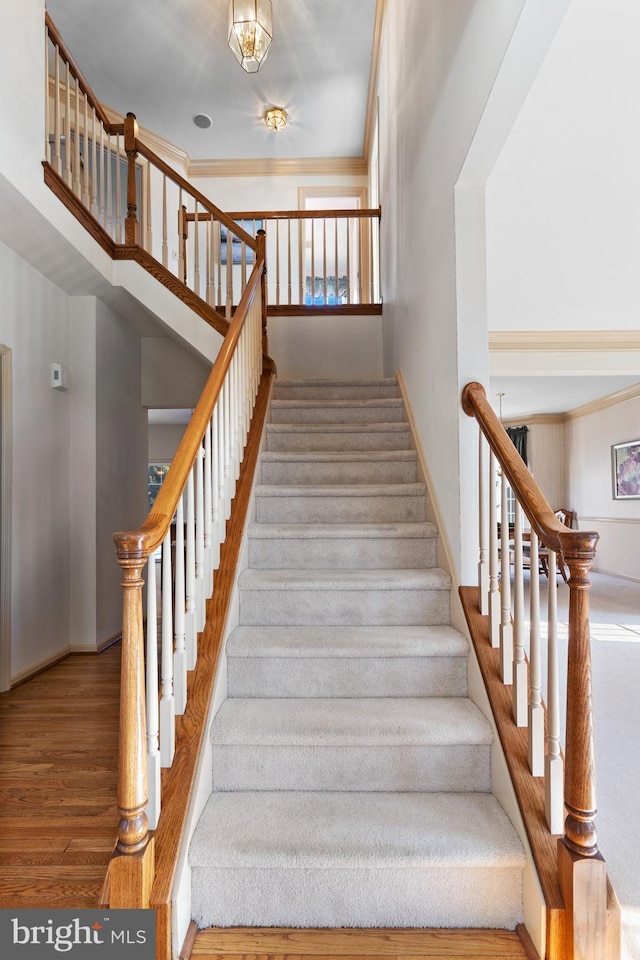 stairway featuring hardwood / wood-style floors